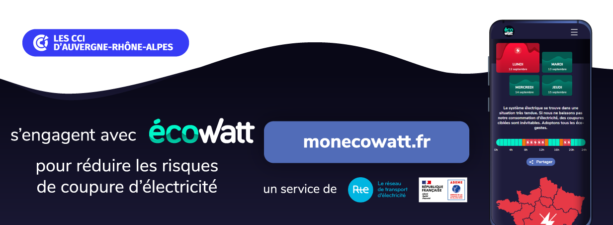 Eco Watt