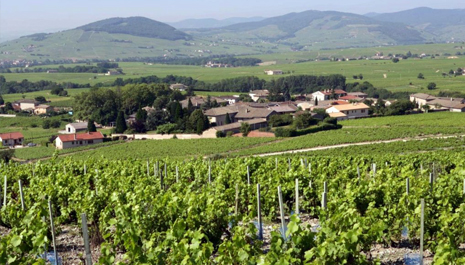 Territoire
